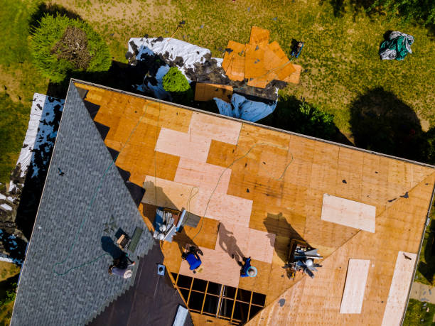 Best Flat Roof Repair Services  in Neshanic Station, NJ